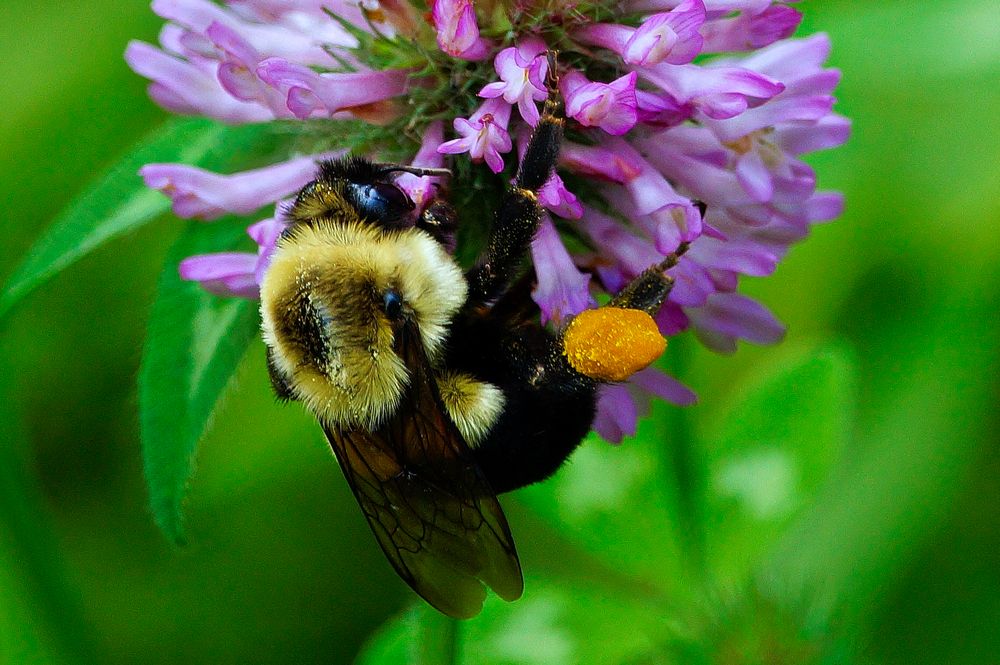 Photograph by Ken Oliver