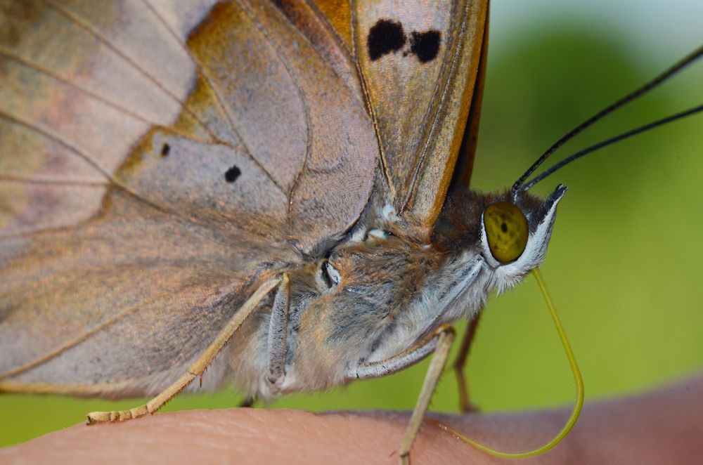 Фотография автора Вадим Писарев