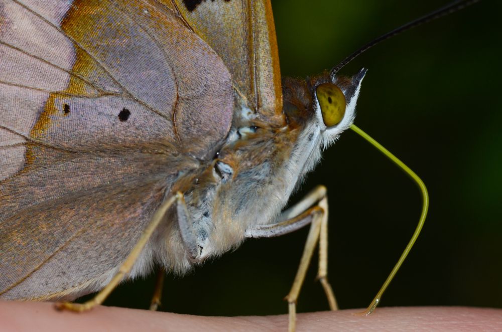 Фотография автора Вадим Писарев