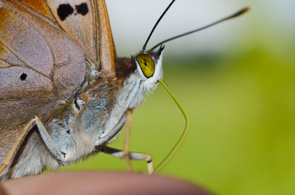 Фотография автора Вадим Писарев