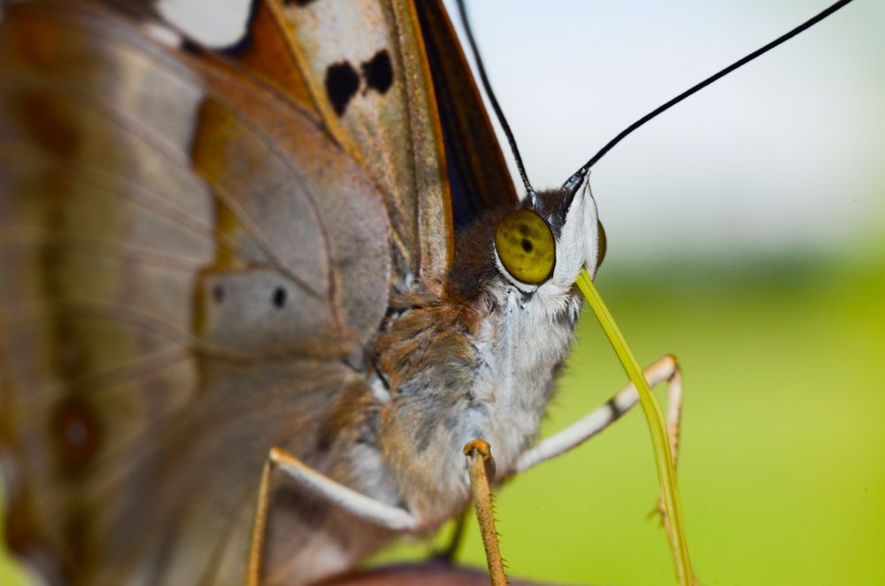 Фотография автора Вадим Писарев