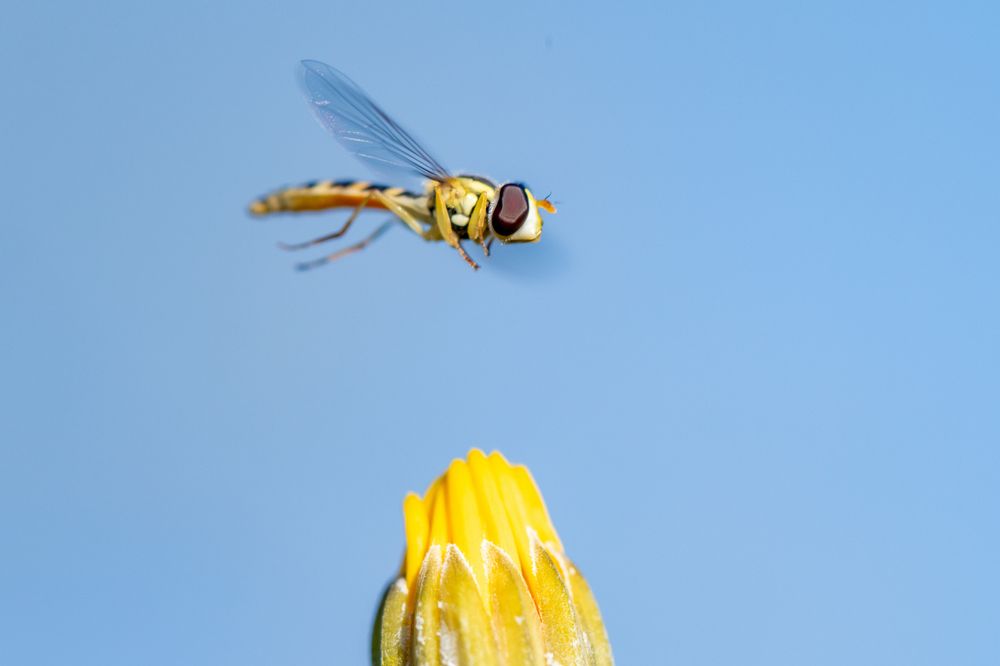 Photograph by Андрей Зуев