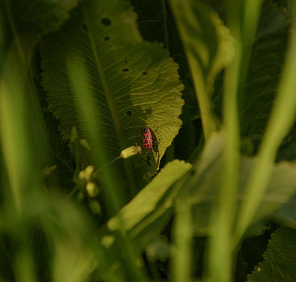 Photograph by Mikhail Kolesnik