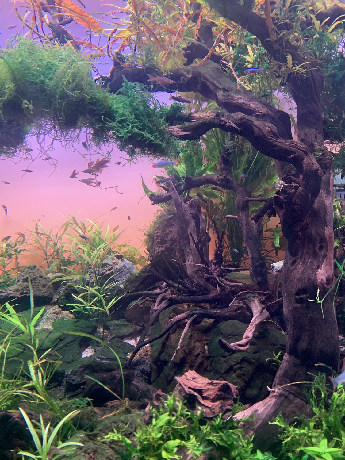 Photo #12077344