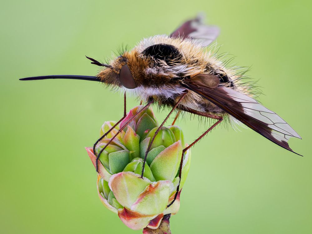 Photograph by Ireneusz Irass Walędzik