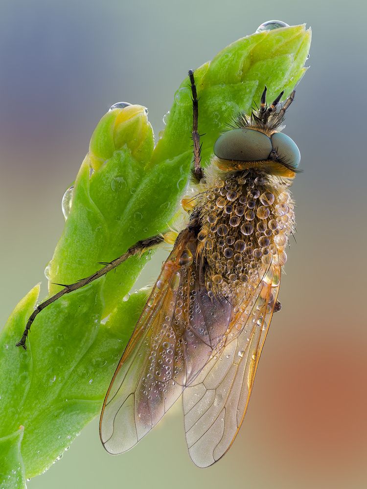 Photograph by Ireneusz Irass Walędzik