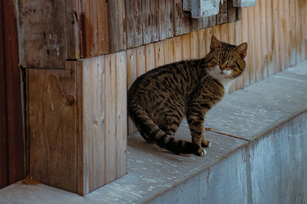 Photograph by Элен Пройс