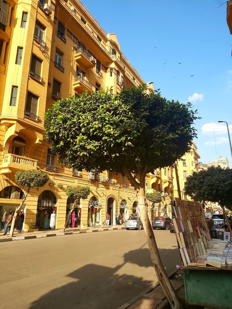 Photograph by Esraa sarhan