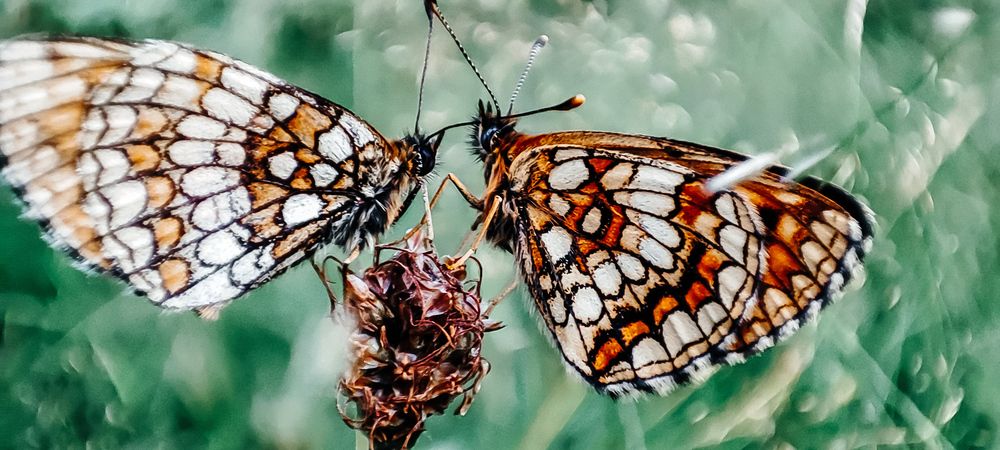 Photograph by Ирина Матюхина