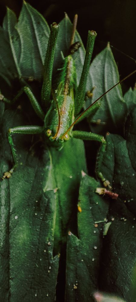 Photograph by Ирина Матюхина