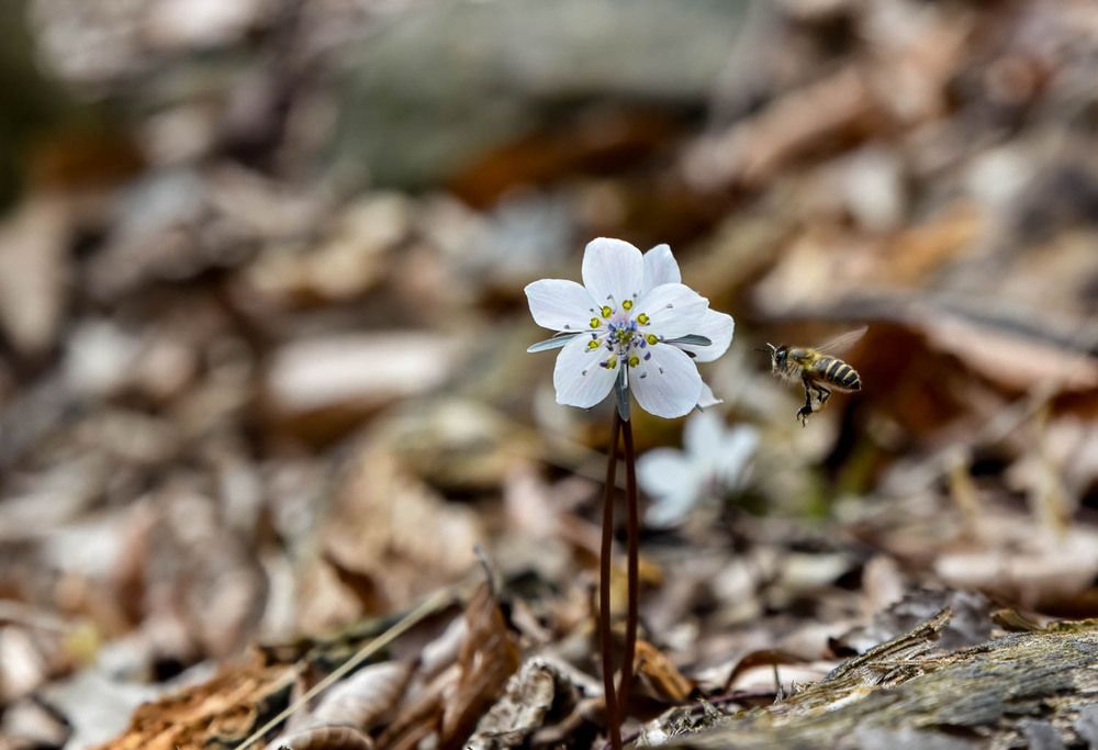 Photograph by Myunggyu Bae