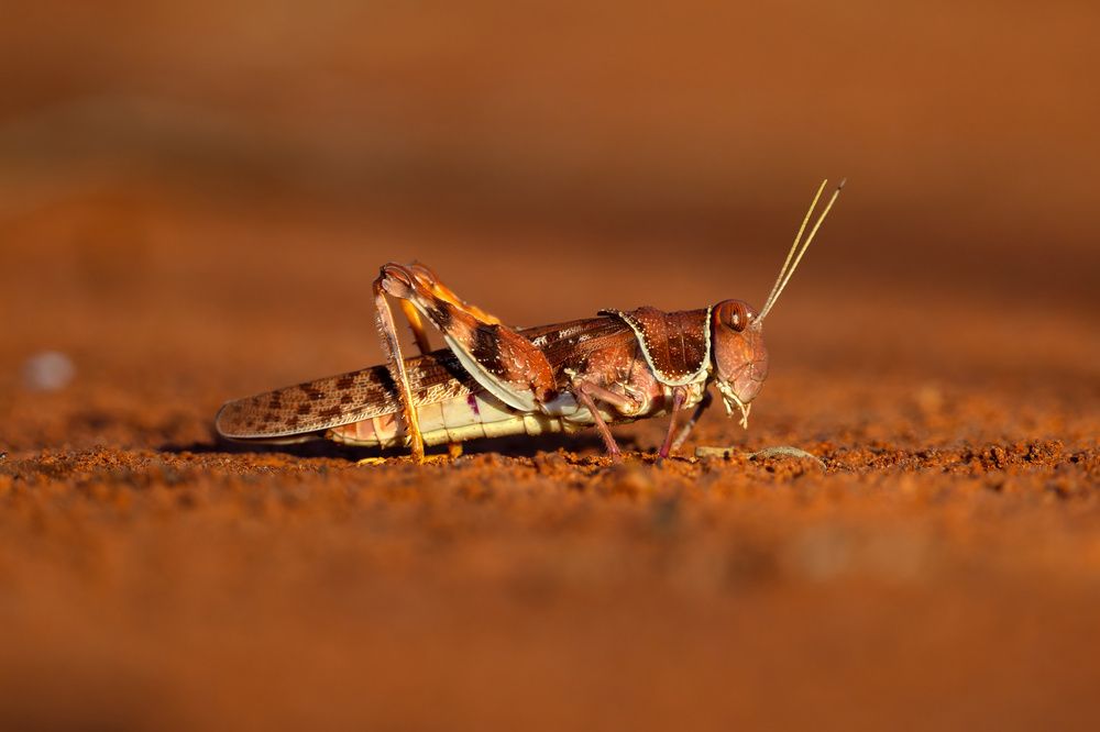 Photograph by Alexander Babych