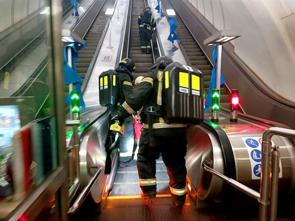 Фотография автора Мария Коледа