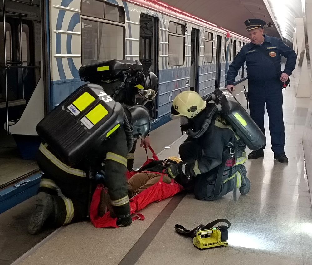 Фотография автора Мария Коледа