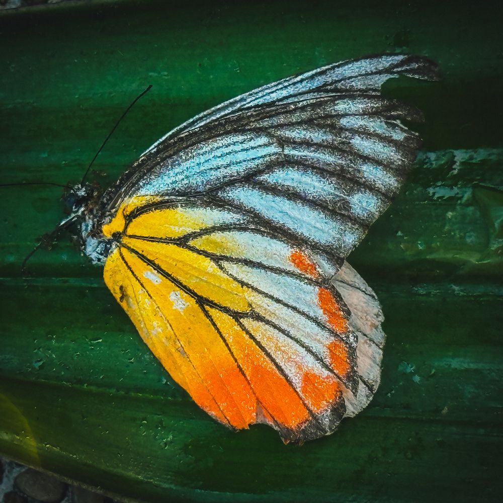 Photograph by Мария