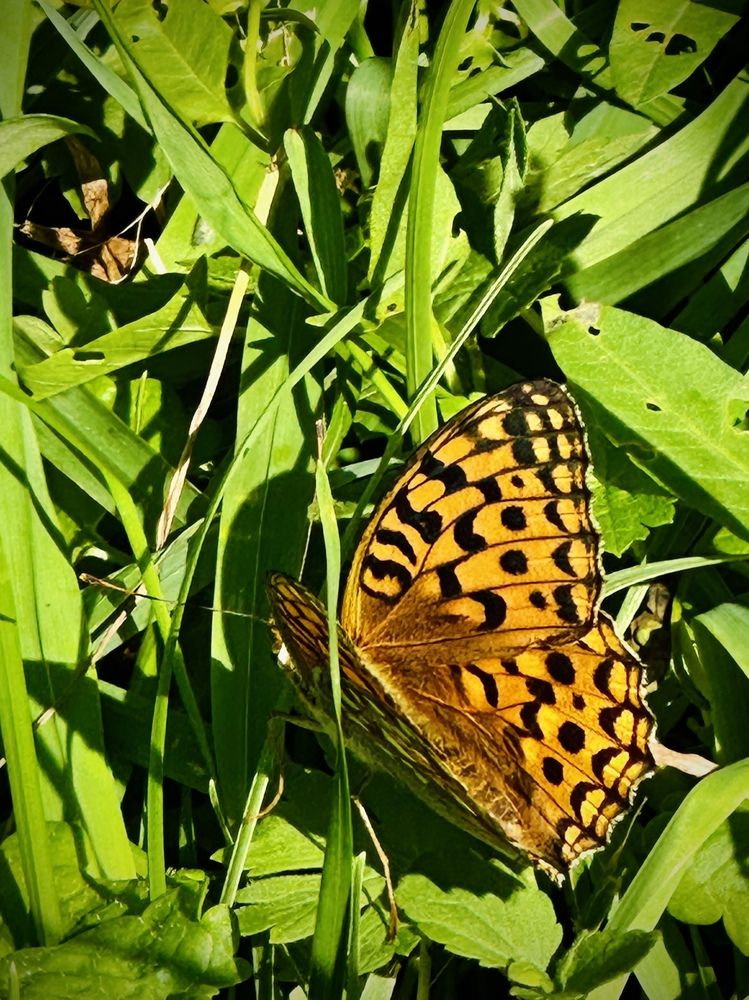 Photograph by Мария