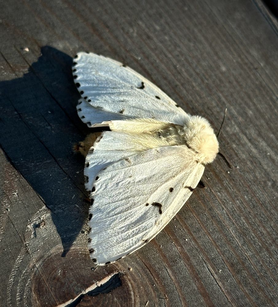 Photograph by Мария