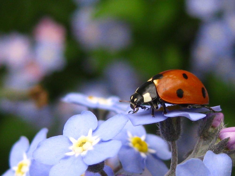 Photograph by Елена Смирнова