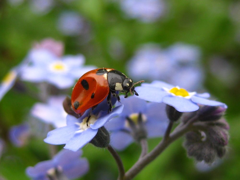 Photograph by Елена Смирнова