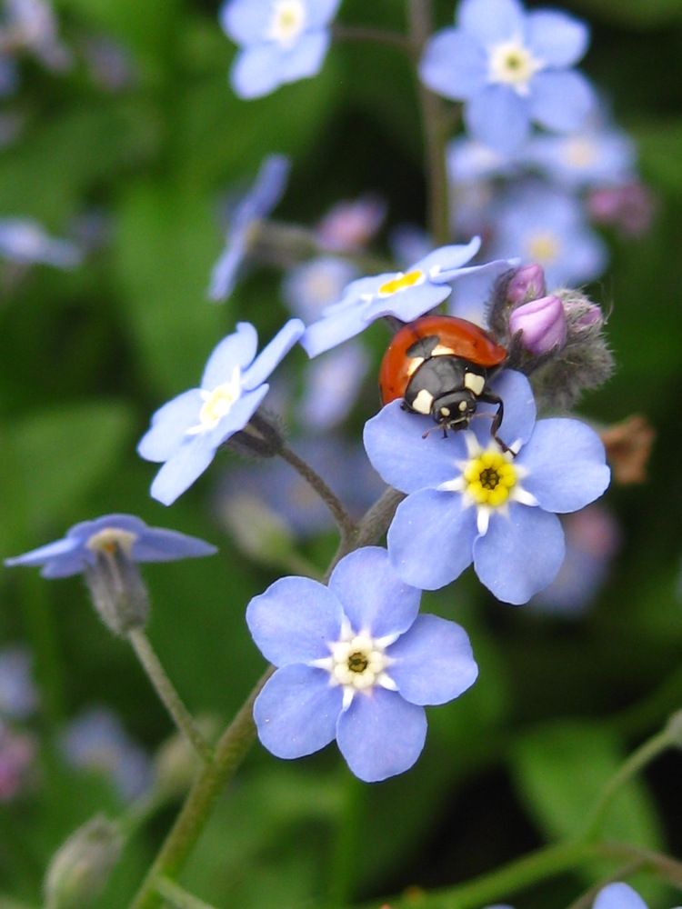 Photograph by Елена Смирнова