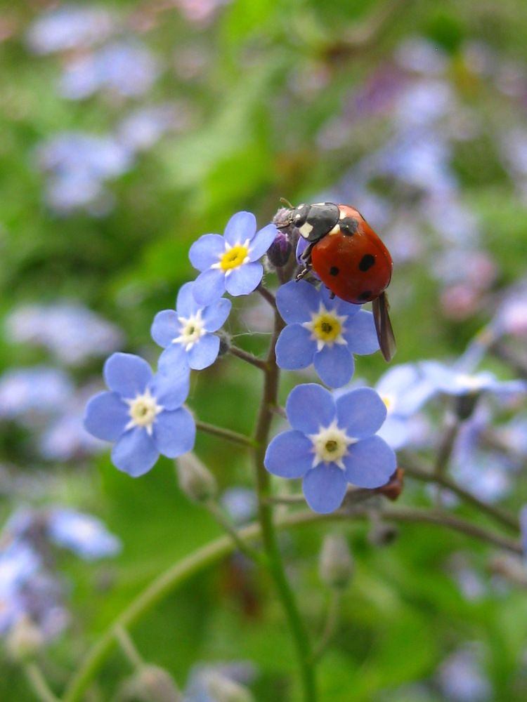 Photograph by Елена Смирнова