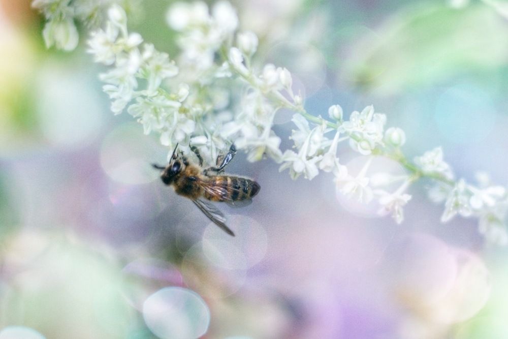 Photograph by Magic Helios