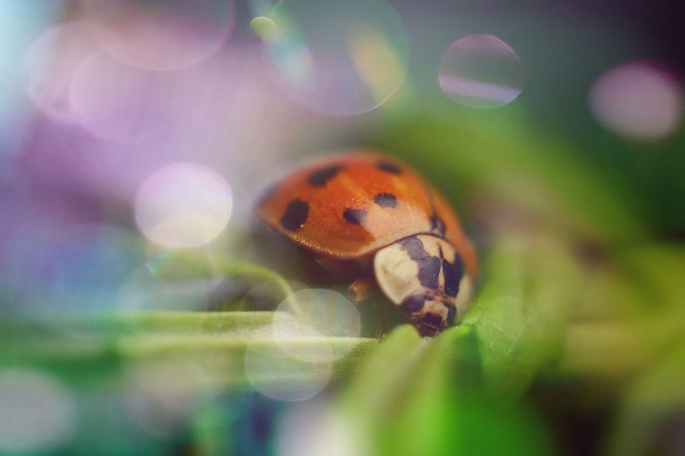 Photograph by Magic Helios