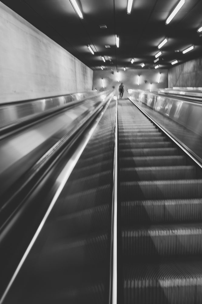 Photograph by Luca Menotti