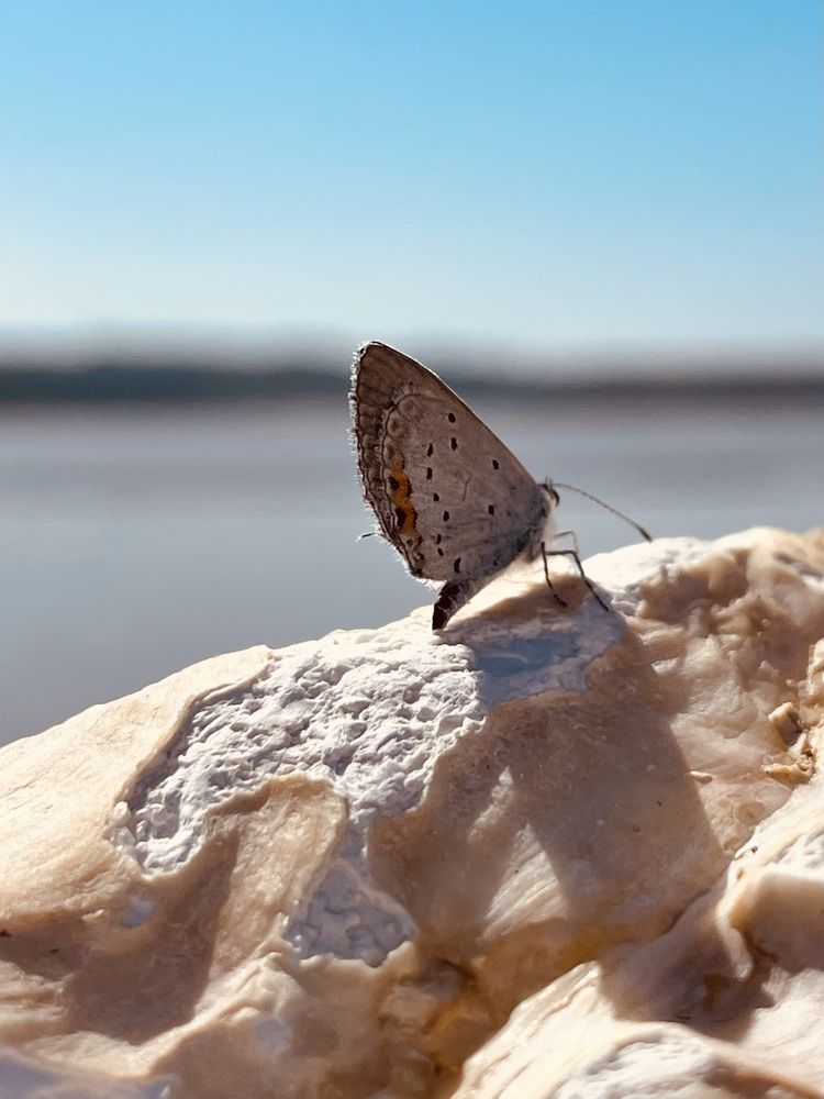 Photograph by Татьяна Баранова