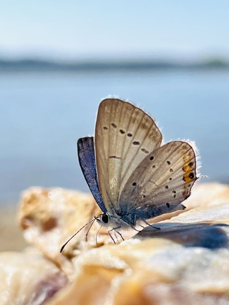 Photograph by Татьяна Баранова