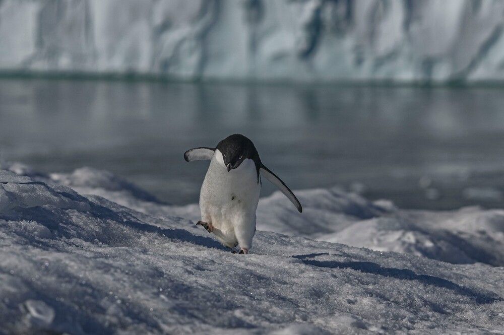 Photograph by Алексей Логинов