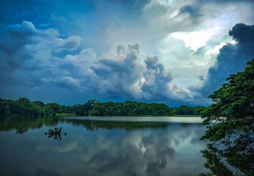 Фотография автора Tharuni Shyamika Lakmali Wella Waduge