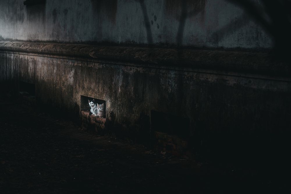 Фотография автора Ilya Str