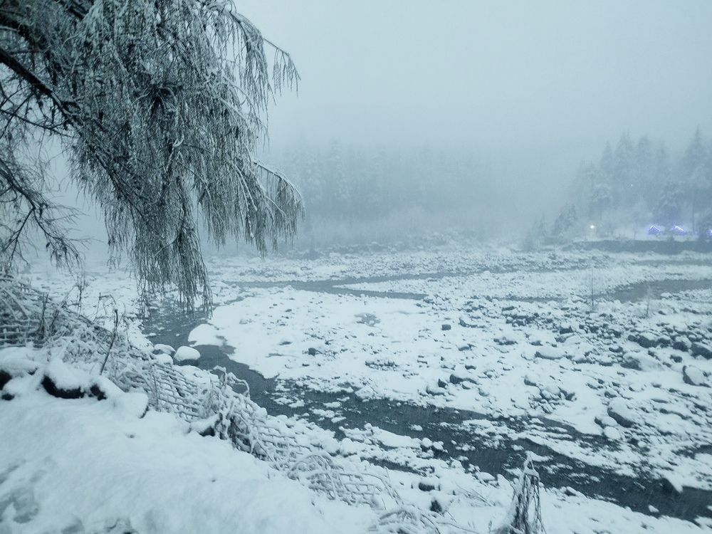 Photo #12077881