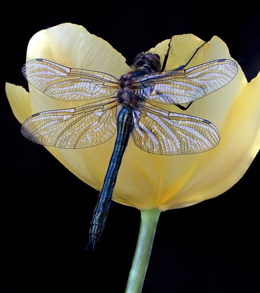 Photograph by Наталья Соколова