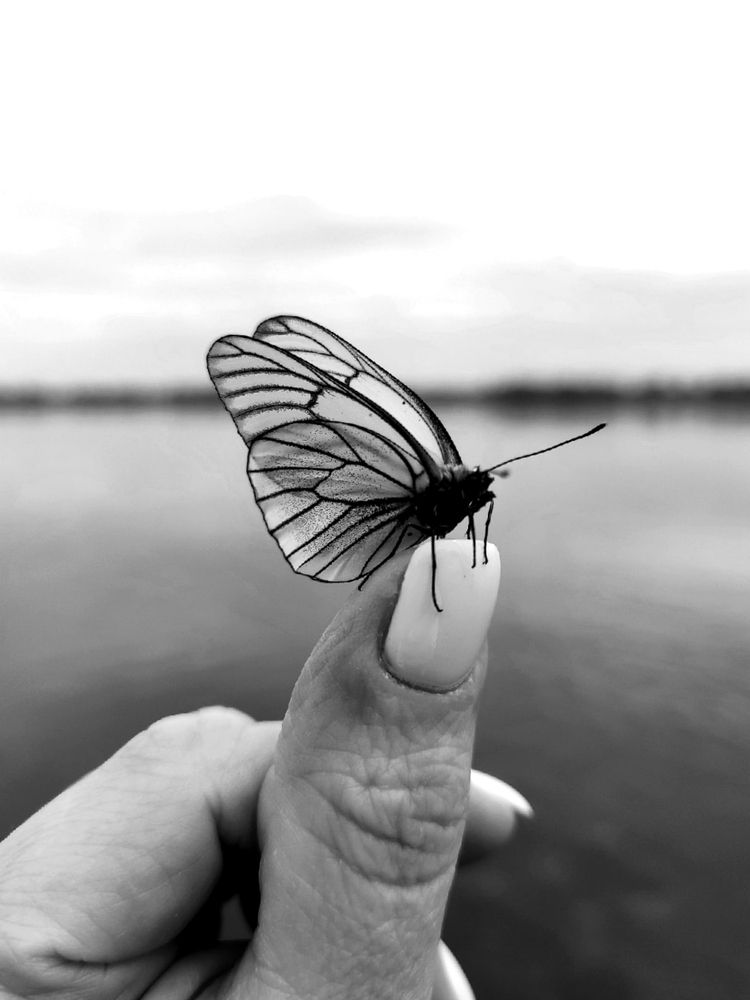 Photograph by Наталья Смирнова