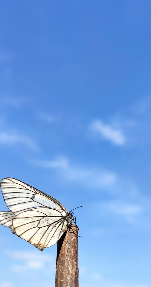 Photograph by Наталья Смирнова