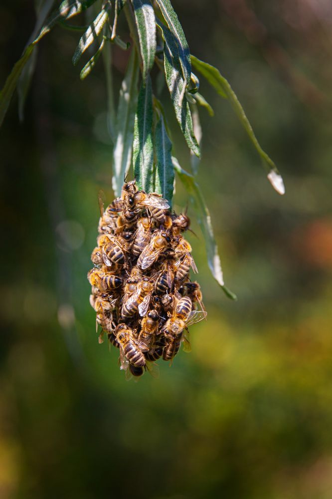 Photograph by Наталья Кузьменко