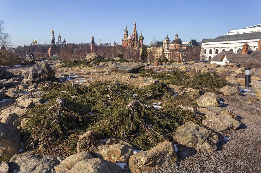 Photograph by Кузнецов Александр