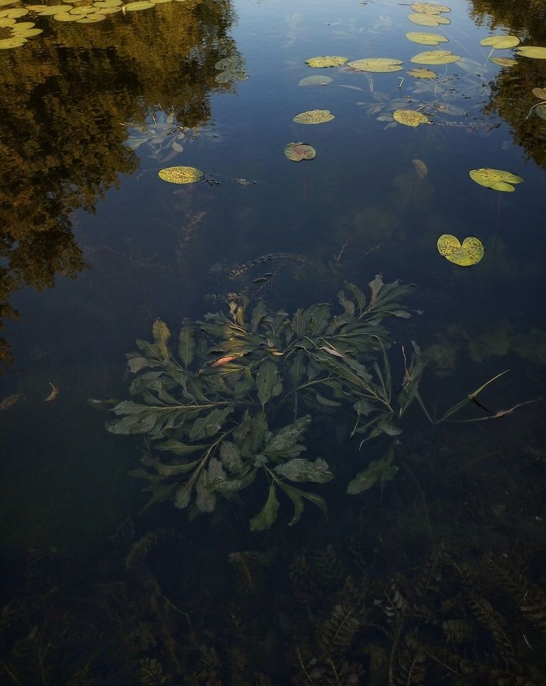 Photograph by Людмила М