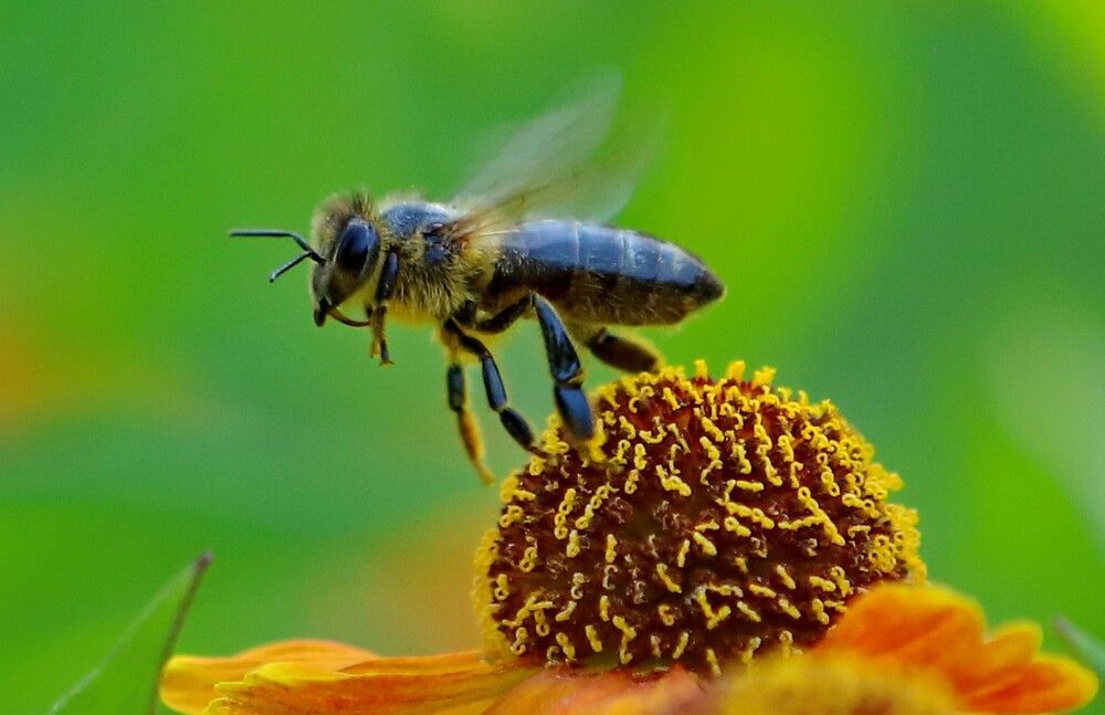 Фотография автора Илья К