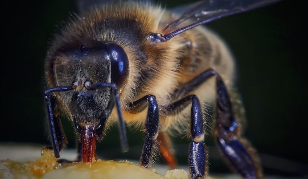 Фотография автора Александр Черепанов