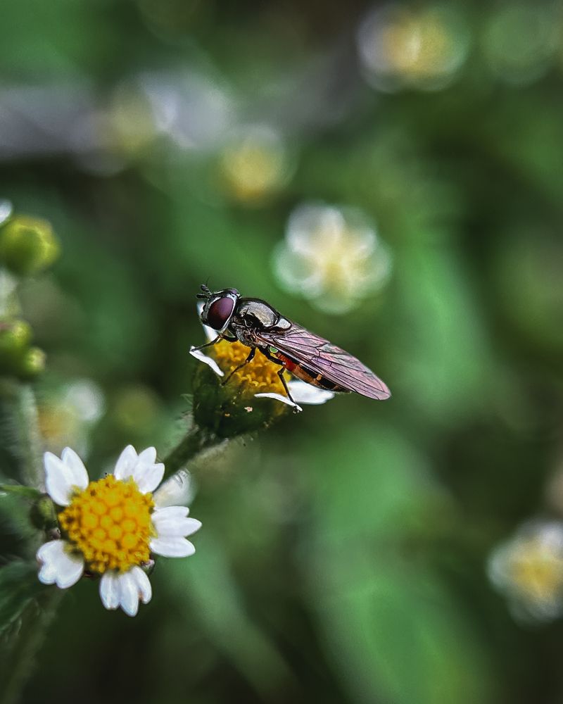 Photograph by Aaron R S