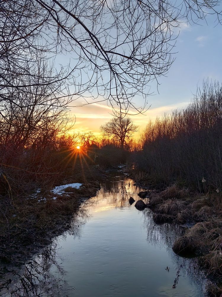 Фотография автора Лолита Богачева