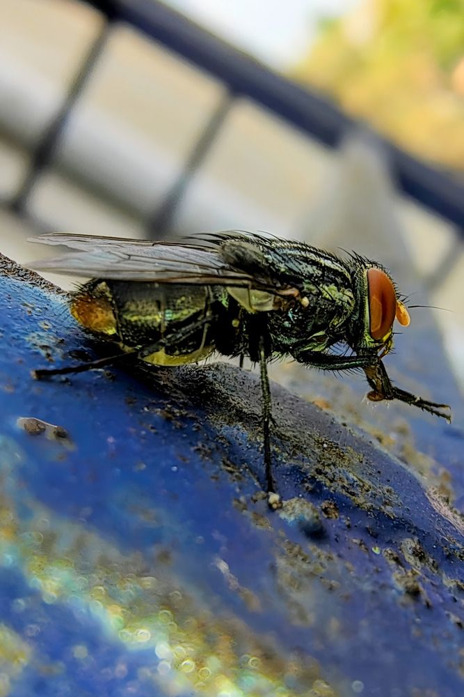 Photograph by Pradip Nandi