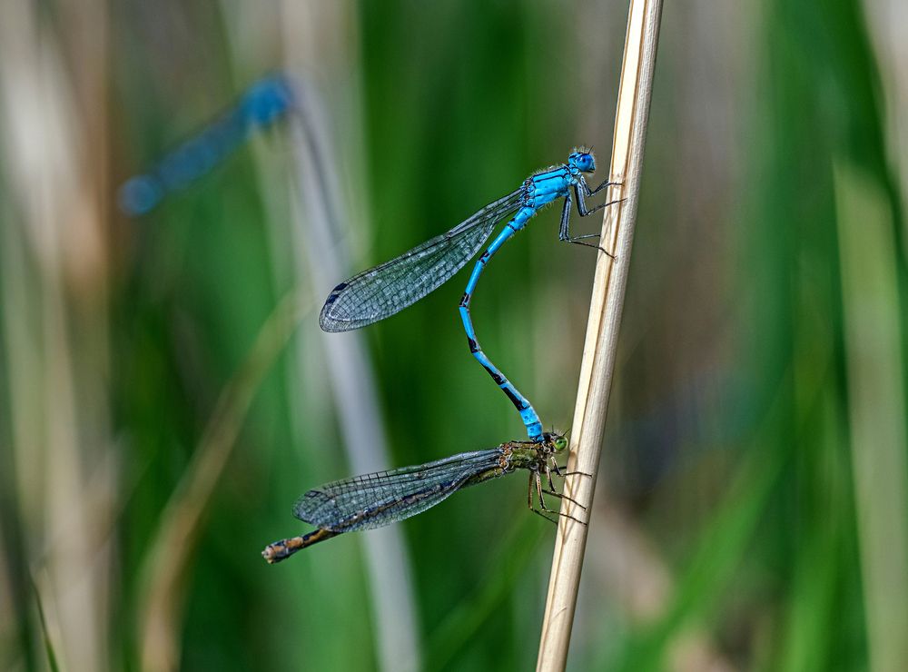 Photograph by Igor Aleksandrov