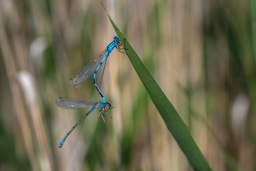 Photograph by Igor Aleksandrov