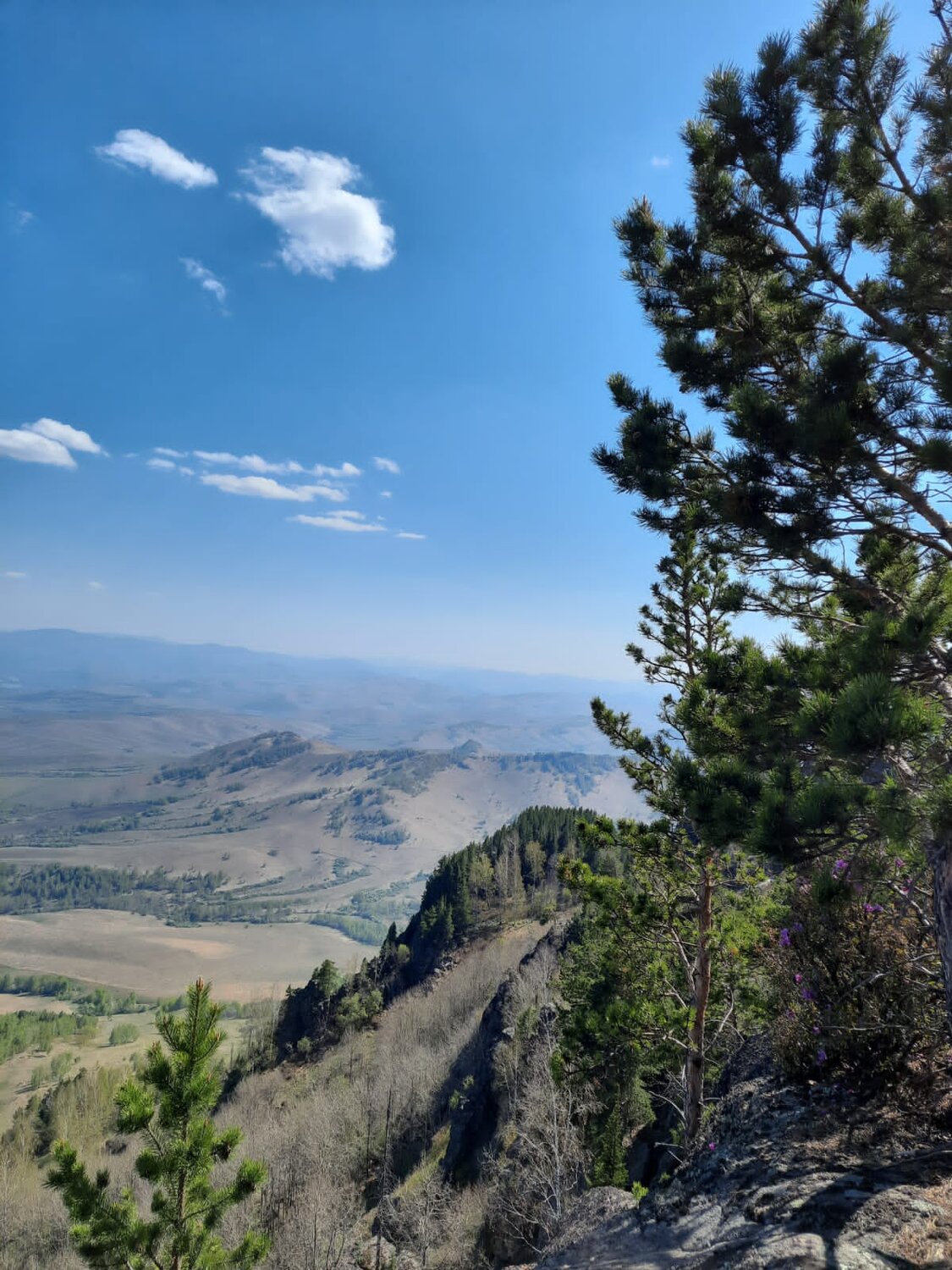 Photo #12078521