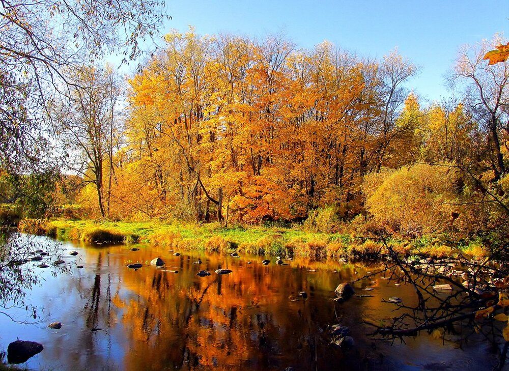 Photograph by Леонид Табаков