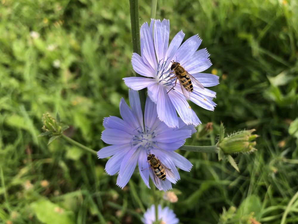 Photograph by Галина Пименова